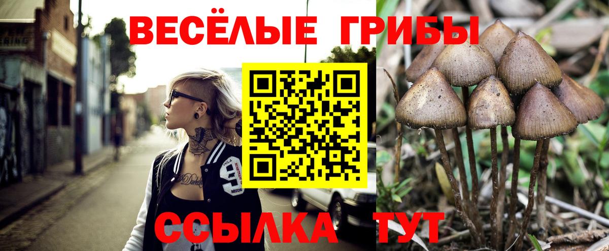 где продают   Вход с VPN  Чапаевск  Псилоцибиновые грибы Magic Shrooms  Галлюциногенные грибы прущие грибы 