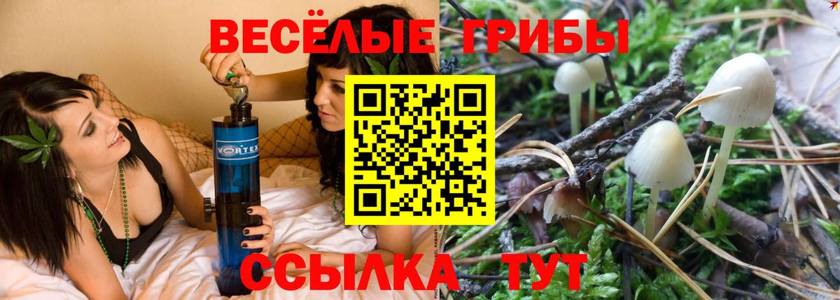 Псилоцибиновые грибы мицелий Чапаевск